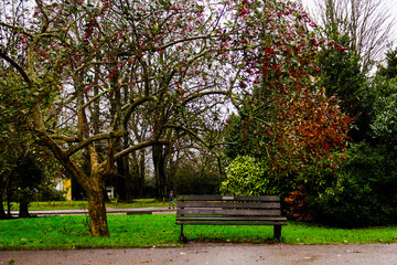 Bench in beautiful park