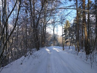 Obraz premium road in winter