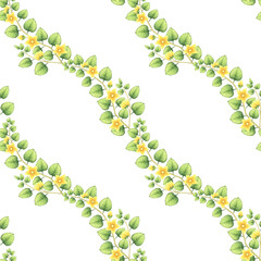 Seamless pattern with yellow flowers. Botanical background of watercolor moneywort. Floral backdrop for textile, wrapping paper, packaging. Summer meadow plant.