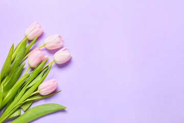 Beautiful tulip flowers on color background