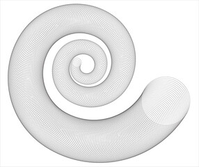 Spiral spring ring for elemental design