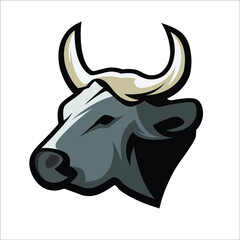 buffalo vector illustration with details