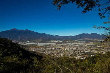 Obraz premium CD GUZMAN 4