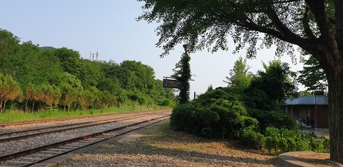 Train Road