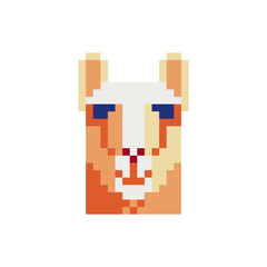 lama, llama head in the shape of a square pixel art icon. Element design for stickers, logo, embroidery, mobile app. Isolated vector illustration. © thepolovinkin