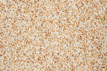 Texture Brown rice raw long grain. background close up.