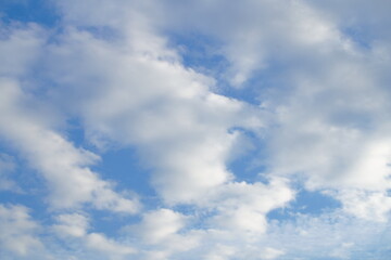 Obraz premium 青い空