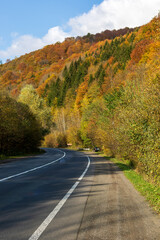 Autumn mountain landscape - yellowed and reddened autumn trees combined with green needles on the side of a small road. Colorful autumn landscape scene in the Ukrainian Carpathians.