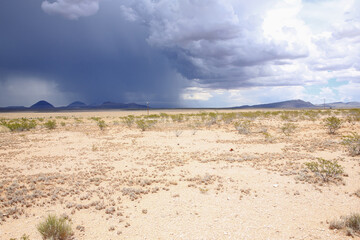 Desert in New Mexico, USA