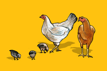 Hen and chicken