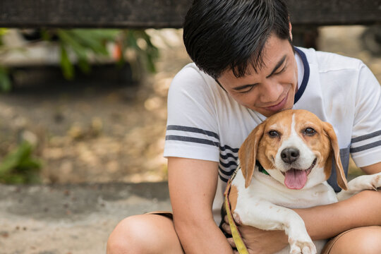 Asian man lovely cute playing with his puppy animal pet , Beagle are friendly dog with human.