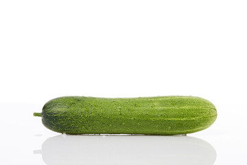 Fresh cucumber on white background