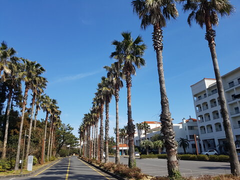 제주도 풍경