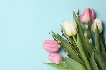 Tulips and willow catkins on blue background