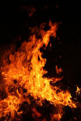 ognisko 2020 © menhiros