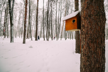 birdhouse on a tree in winter forest