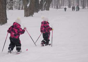 identically dressed twins skiing in a snowy park