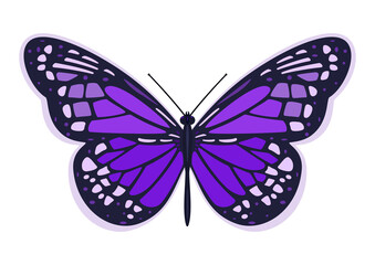 Dark purple butterfly. Vector illustration on a white background.