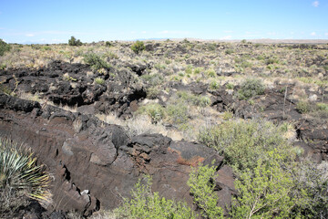 Valley of Fires Recreation Area in New Mexico, USA