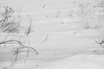 Countryside with snow and weeds on a cold winter's day.