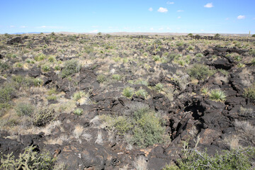 Valley of Fires Recreation Area in New Mexico, USA
