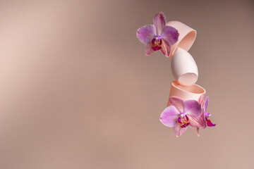 Levitation of the beauty blender and orchid flowers. Sponge for applying concealer and foundation. Trending style balance and levitation.