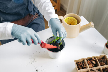 Female gardener caring for her plants indoors