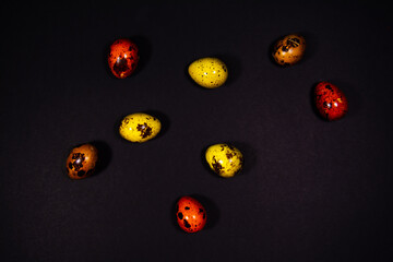 Quail eggs on a black background. Painted eggs in yellow, orange and brown for the Easter holiday