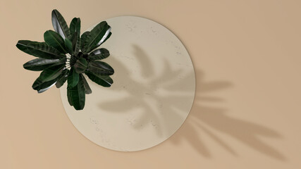 Abstract minimal scene circle product stand with leaves shadow. 3D Illustration