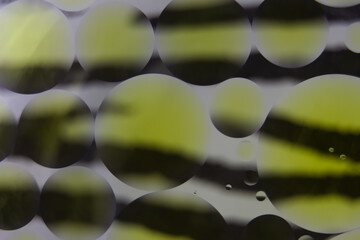 Blurred soft focus of oil spheres in water with color transition from yellow to white tones for...