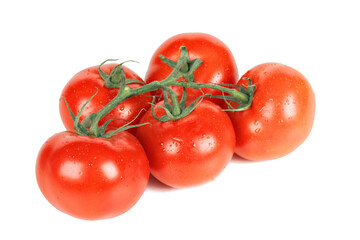 Branch of tomatoes isolated