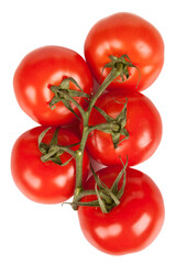 Branch of fresh tomatoes with water droplets isolated