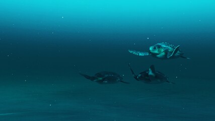 Closeup of Three tortoises swimming in the deep blue ocean water, slow motion underwater scene of tortoises, Beauty of sea life , 4K High Quality, 3D render.