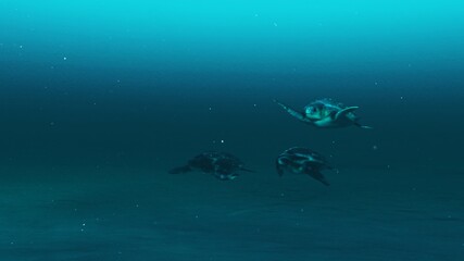 Three tortoises swimming in the deep blue ocean water, slow motion underwater scene of tortoises, Beauty of sea life , 4K High Quality, 3d render.
