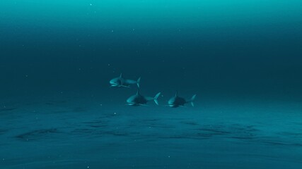 Fototapeta premium Three Great white sharks swimming in the deep blue ocean water, underwater scene of white sharks, Beauty of sea life , 4K High Quality, 3d render