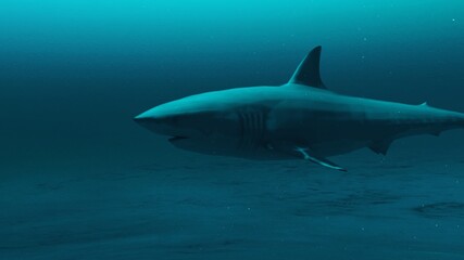 Closeup of Great white shark swimming in the deep blue ocean water, underwater scene of white shark, Beauty of sea life , 4K High Quality, 3d render