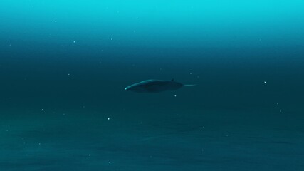 Closeup of Rorqual whale swimming in the deep blue ocean water, underwater scene of Rorqual whale, Beauty of sea life , 4K High Quality, 3d render