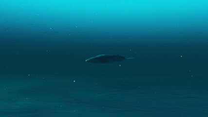 Fototapeta premium Closeup of Rorqual whale swimming in the deep blue ocean water, underwater scene of Rorqual whale, Beauty of sea life , 4K High Quality, 3d render