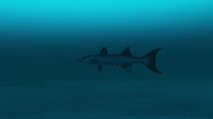 Barracuda fish swimming in the clean deep blue ocean water, Beauty of sea life, 4K high Quality.3d render