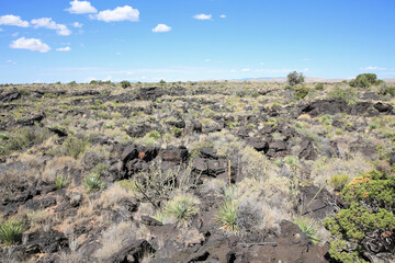 Fototapeta na wymiar Valley of Fires Recreation Area in Tularosa Valley, New Mexico, USA