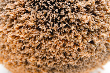 Make-up brush with powder on white background