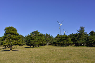 Les éoliennes poussent dans les arbres à l'étang des Barthes (43150 Freycenet-la-Tour),...