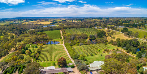 Aerial view of vineyard on Mornington Peninsula, Australia