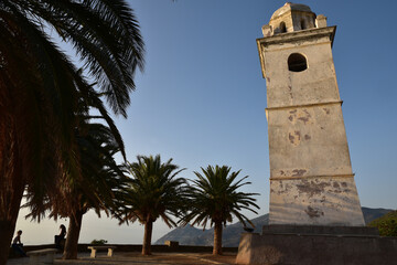 Fototapeta na wymiar Terrasse aux palmiers à Canari en Corse