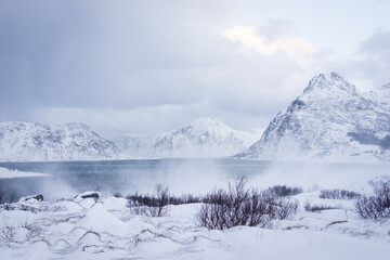 Fototapeta na wymiar Foggy mountain in northern nordic nature