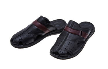 leather men's slippers isolated
