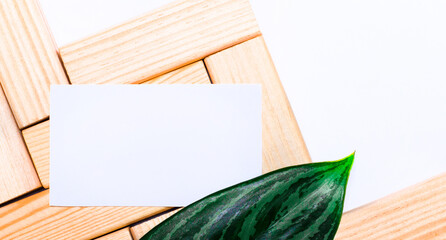 On a white background wooden building blocks, a white blank card with place to insert text and a green leaf of a plant. Template. Top view with copy space