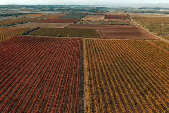 Aerial view of a truck driving a straight road across the vineyards fields near Verd&ugrave; township in Lleida state, Spain.
