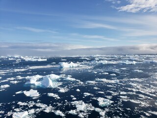 Naklejka na ściany i meble Antarctic sea