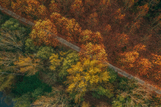 Aerial view of Autumn trees landscape with a smoky factory in background near Besalù little town, Girona, Spain.
